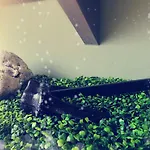 Lejlighedshotel Loft