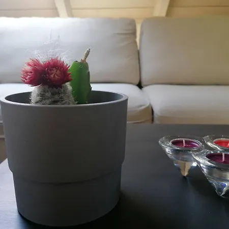 Loft 4* أرغوستولي